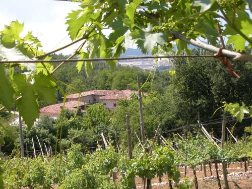 Agriturismo Ca' Verde