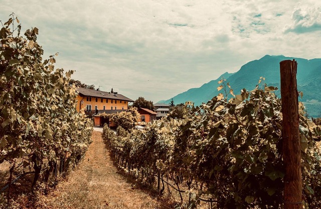 Agritur Mas Dei Chini