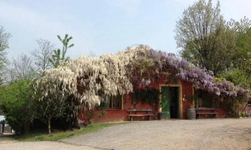 Agriturismo Cascina degli Ulivi