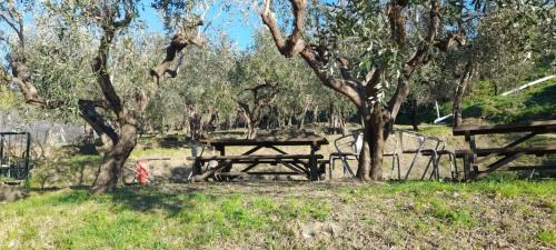 Agriturismo Cele