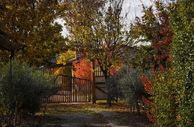 Agriturismo Corte Benetti