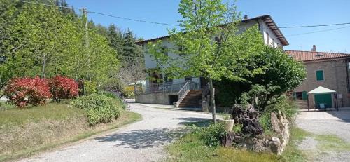 Agriturismo IL CERRO
