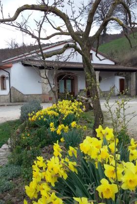Agriturismo Il Regio Tratturo