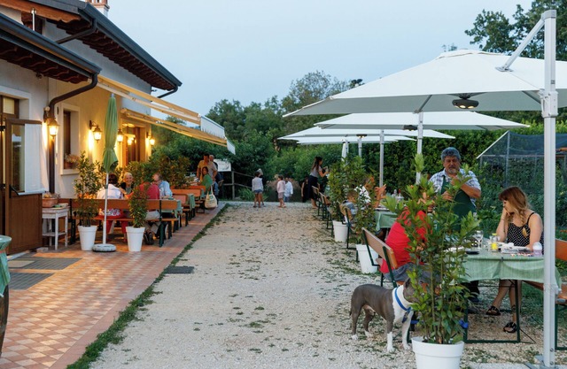 Agriturismo Agricamping GARDA NATURA