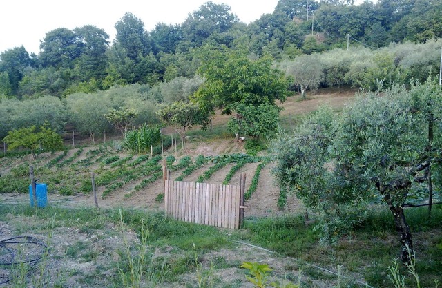 Agriturismo le Cammarose