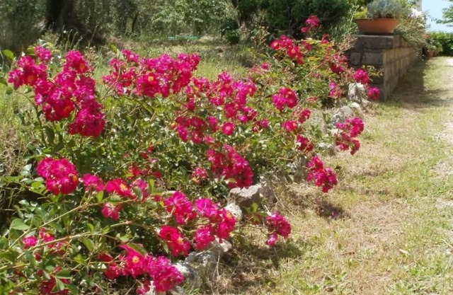 Agriturismo Le Quattro Stagioni