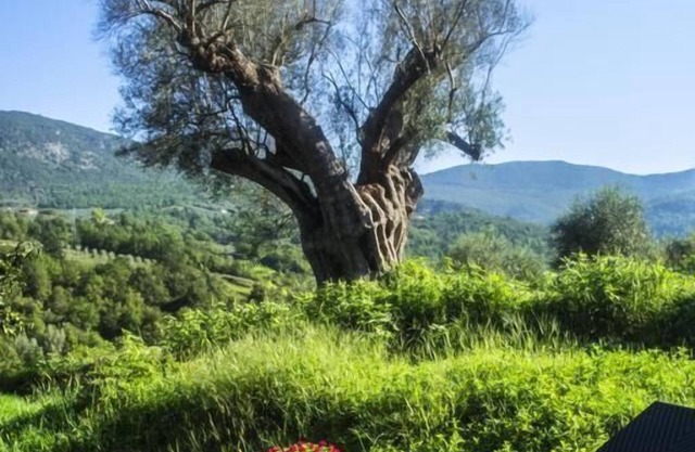 Agriturismo Murikè