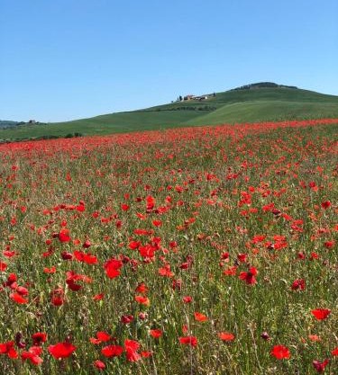 Agriturismo Poggio Tobruk