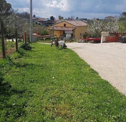 Agriturismo San Tommaso