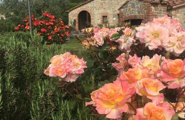 Agriturismo Valiana