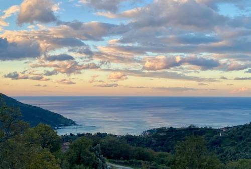 Agros