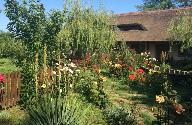 Agrotourism Holiday Cottages In Danube Delta