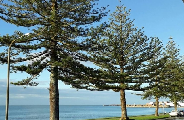 Ahuriri Beach Front with stunning sea views