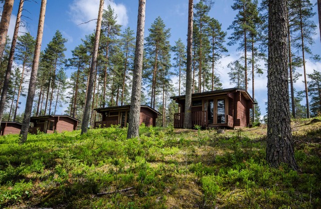 Ahvenlampi Camping