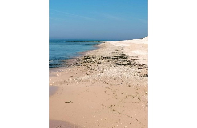 air-conditioned studio near La Rochelle and the Vendée beaches!