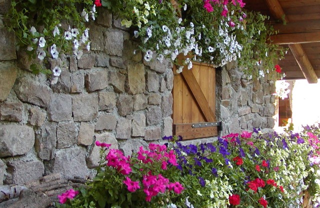 Al Folastro: chalet nestled in a fairytale forest