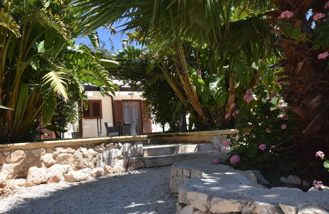 Albicocca Masseria Giulio