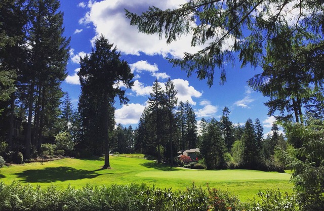Alderbrook Golf Retreat - with AC, fast Wi-Fi, and EV charger
