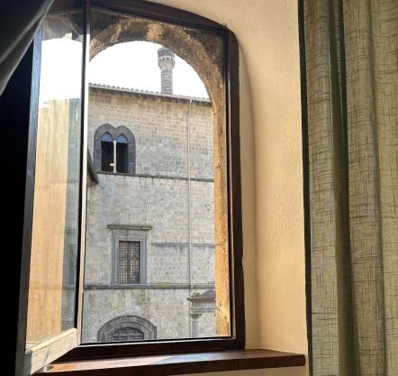 All’ombra del museo