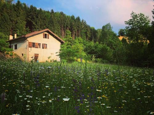 Alla Casetta B&B
