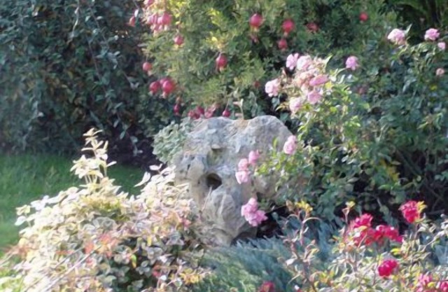 Alla Corte del Picchio