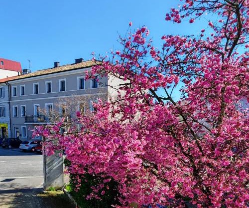 Alloggi Tosca Airport Lodges