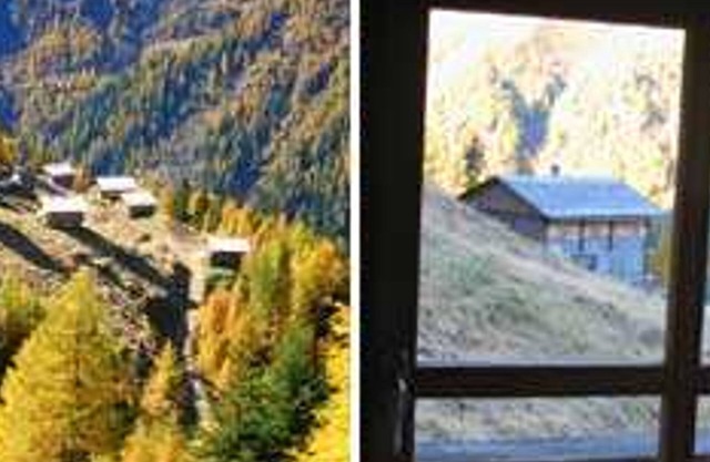 Almhütte Außermoscher, Kamelisenalm - Almhütte Karl Schett, Kamelisenalm