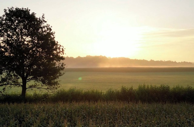 Alpakablick vacation apartment - including free alpaca meet & greet