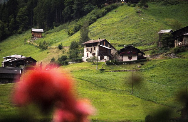 Alpen Hotel Rabbi