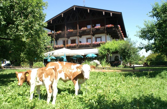 Alpenhof Landhotel Restaurant