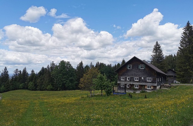 Alpine hut Mountain hut Holiday home