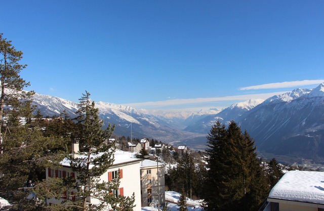 Alpine Panorama 1 bedroom appartment