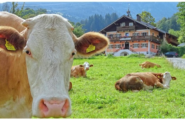 AlpinResort DerBacherhof