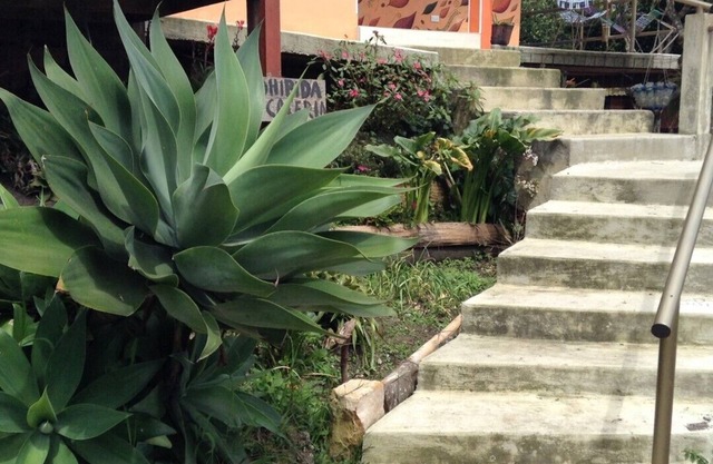 Alquiler vacacional casa finca campestre familiar cerca Bogotá clima templado