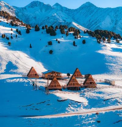 ALTO Cabins