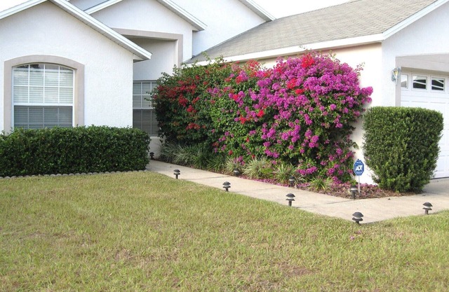 ALWAYS FREE POOL HEAT - Disney, Pool Home - Lake View - New CARPET/TILE