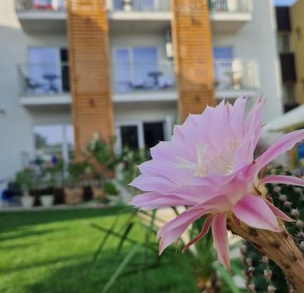 ALYA Sea Escape Costinesti - parcare gratuita