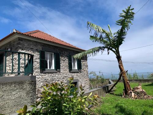 Amélia's House