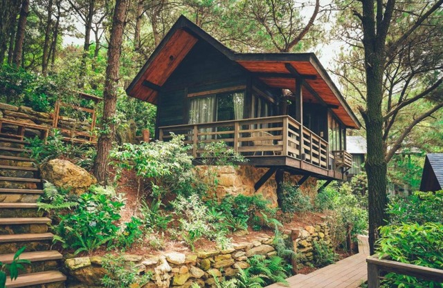 Amaya Retreat