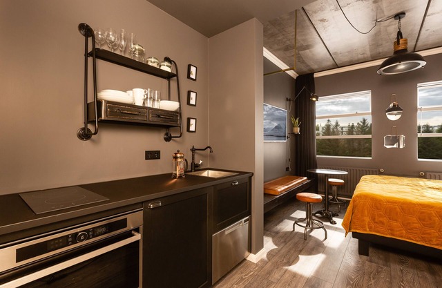 Amazing Deluxe Studio Bunk - 2-3 persons