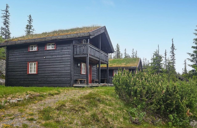 Amazing home in Eggedal with sauna