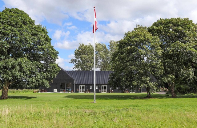 Amazing home in Grindsted with sauna