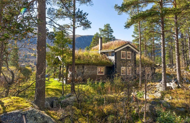 Amazing home in Hovet with sauna