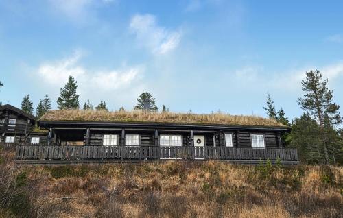 Amazing Home In Nissedal With Wifi
