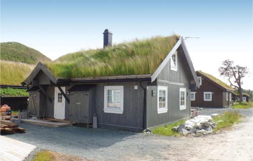 Amazing Home In Rauland With Wifi