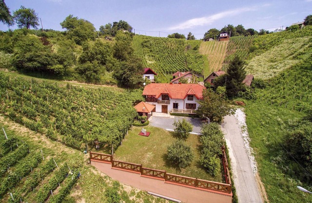 Amazing home in Vinica with sauna