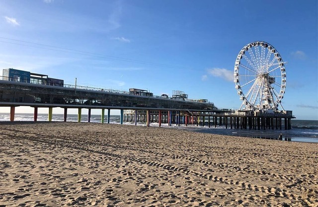 Amazing location! Modern unit w/Easy Access to Beach, City Centre & local dining