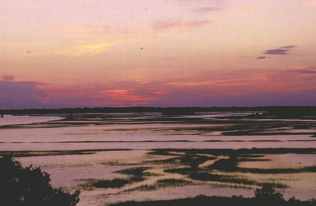 Amazing Sunset Views of Folly River! Close to Folly Beach & Downtown Charleston.