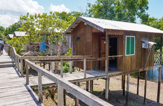 Amazon Boto Lodge
