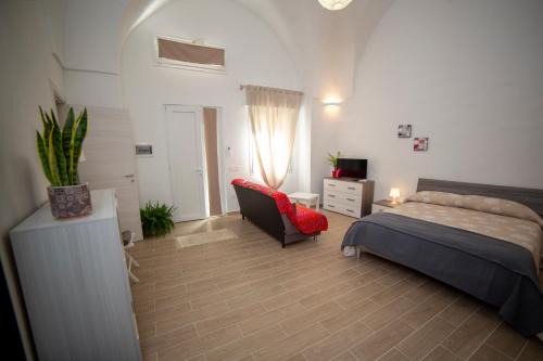 Amelia's House